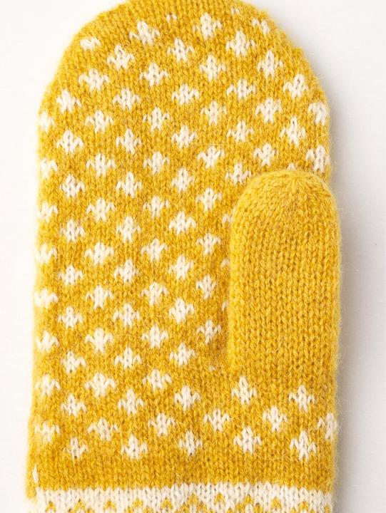 Image du produit Hestra Isvik Mitt (9)