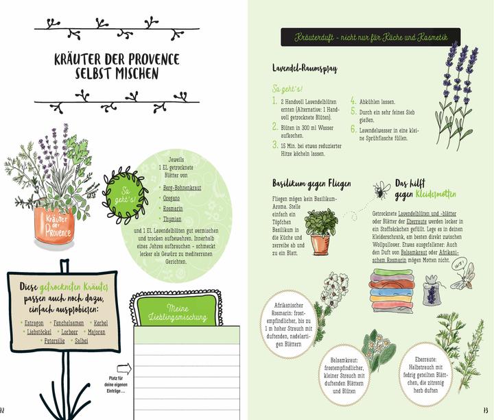 Actual product image Mein Kräuter-Jahr - Das informative Bullet Journal - Monat für Monat (German, Diana Meier-Soriat, 2025)