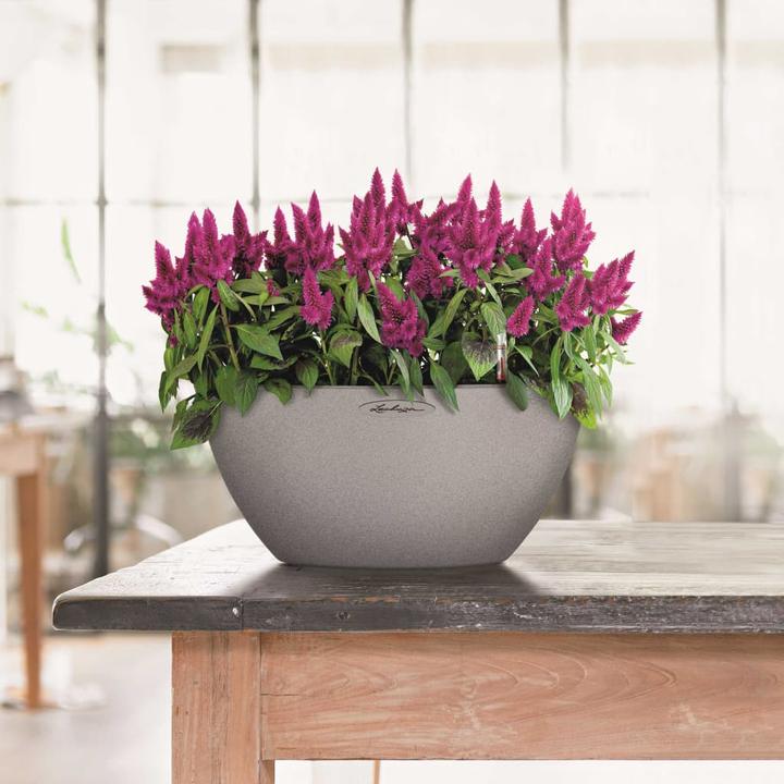 Produktbild Lechuza Cubeto 40 (40 cm)