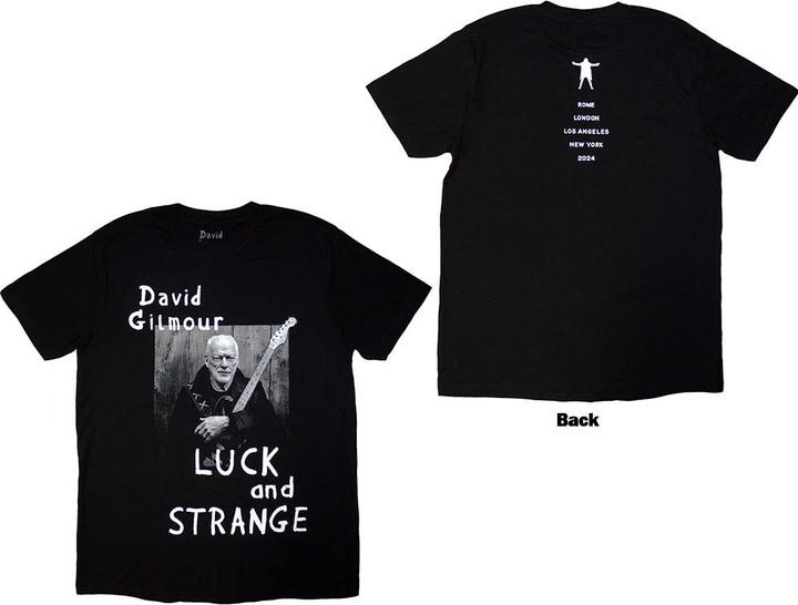 David Gilmour Luck & Strange Portrait