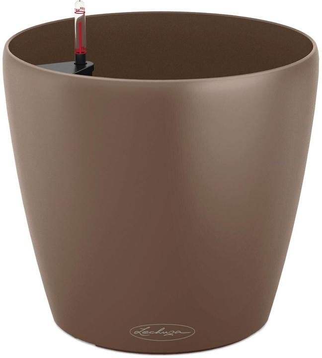 Actual product image Lechuza Classico Color (27.50 cm)