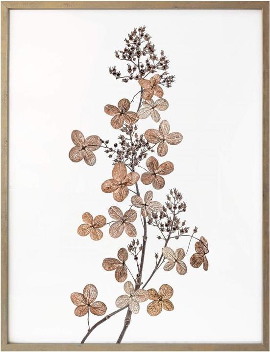 Produktbild Trenddeko Hortensie (30 x 40 cm)