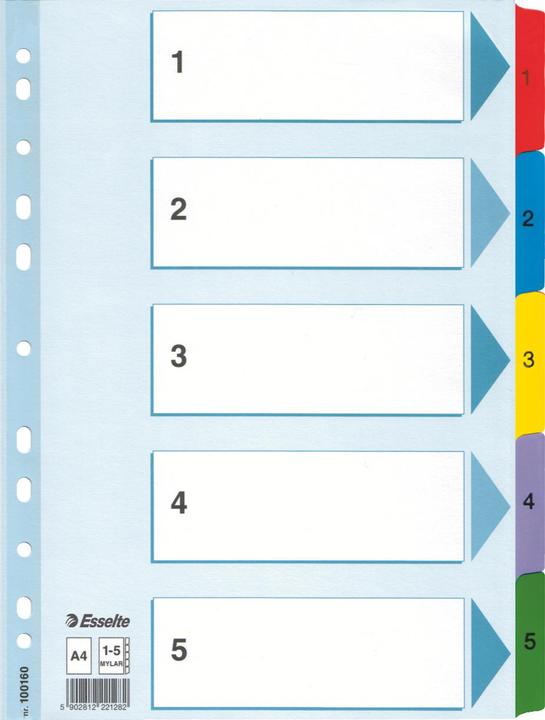 Produktbild Esselte Karton-Register Mylar, verschiedene Ausführungen, einzeln