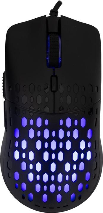 Baracuda Octopus 6D (Cable)