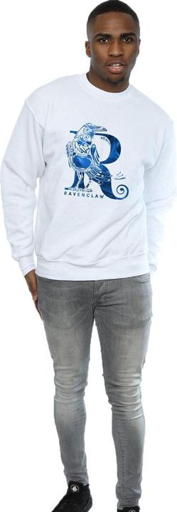 Immagine prodotto Ravenclaw Raven Felpa Uomo (L)