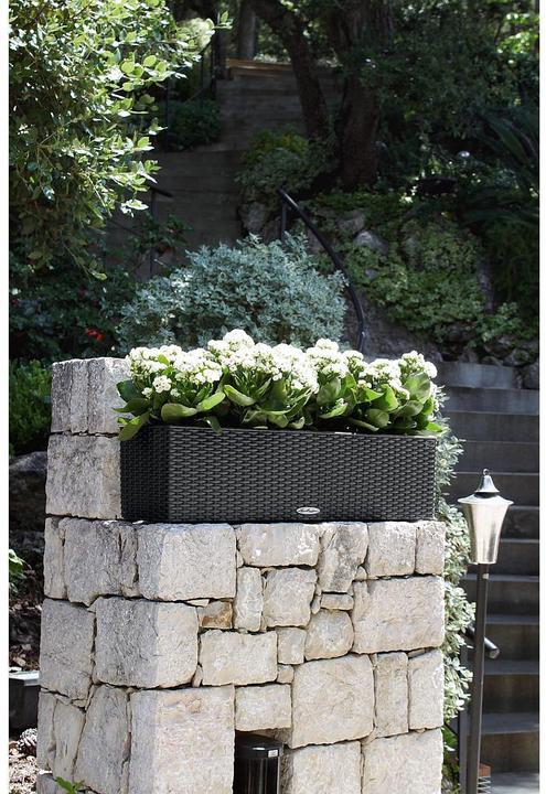Produktbild Lechuza Balconera Cottage (19 cm)