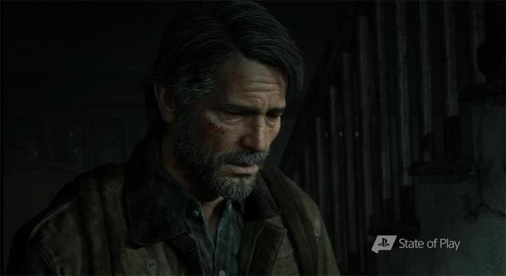 Actual product image Sony The Last of Us Part 2 - Collector's Edition (PS4, Multilingual)