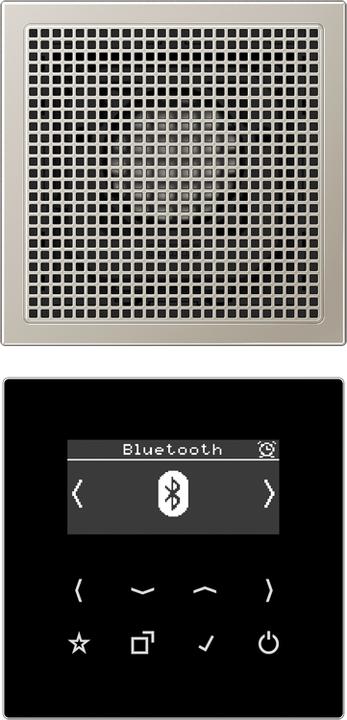 JUNG Smart Radio DABES1BT DAB+ m. Bluetooth-Set Mono (DAB+, UKW, Bluetooth)