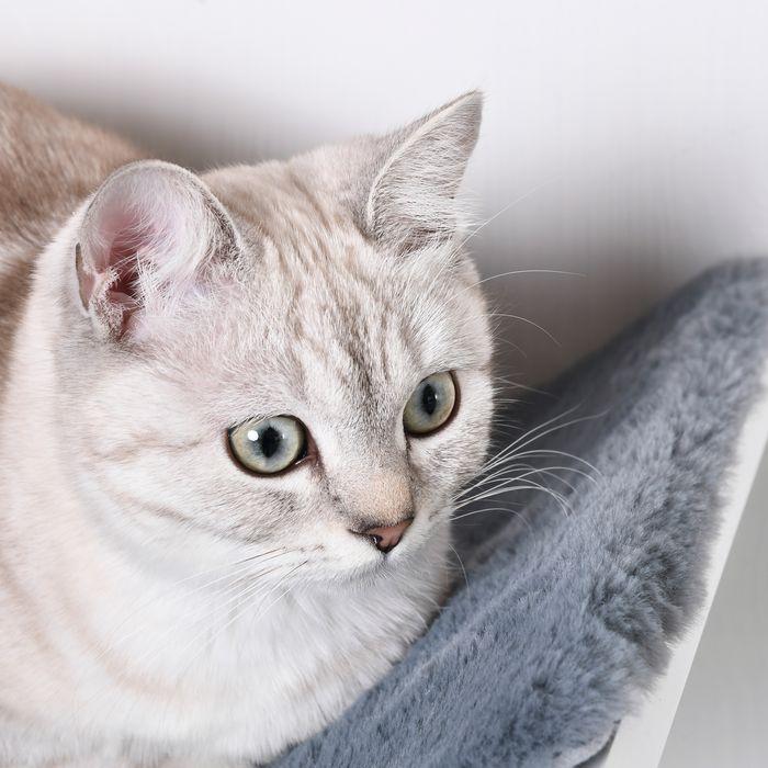 Produktbild Swisshandel24 Katzenbett Katzenregal Katzenliege Wandliege Wandmontage Plüschauflage MDF Weiss+Grau 41 x 28 x 21 c (Katze)
