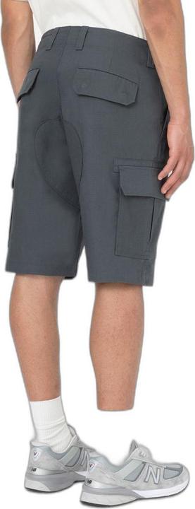 Actual product image Dickies Millerville Short (30)