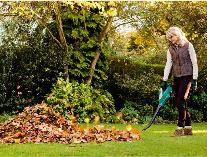 Actual product image Bosch Home & Garden ALB 36 LI (EU version) (Rechargeable battery operated)