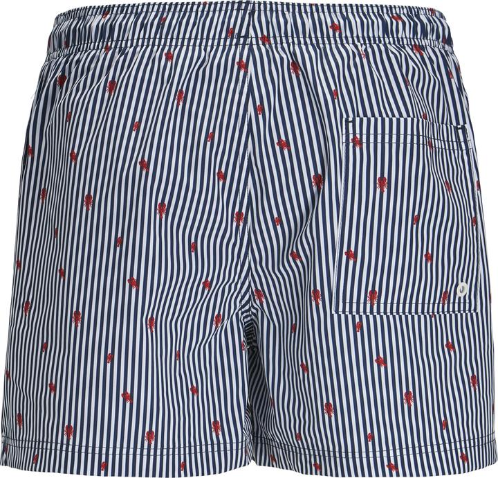 Actual product image Jack & Jones Jpstmaui Jjswim Mini Stripe Akm Sn (XS)