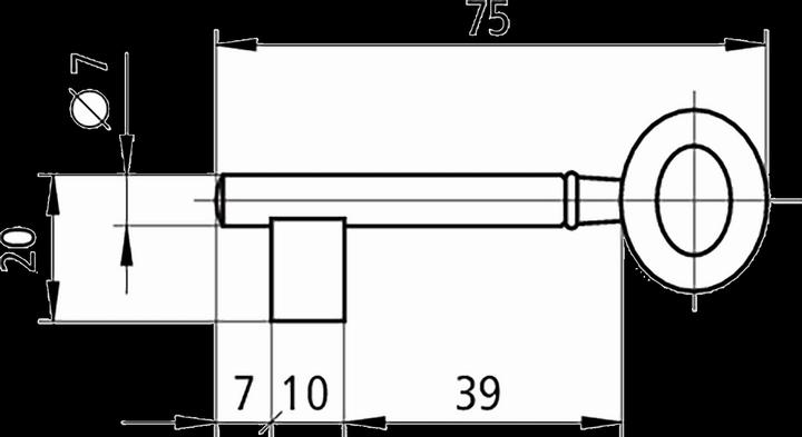 Actual product image Schänis Key for mortise lock (Mortise lock)