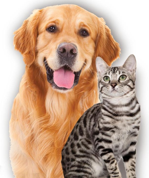 Immagine prodotto MediaShop Fur Daddy (Cane, Gatto)