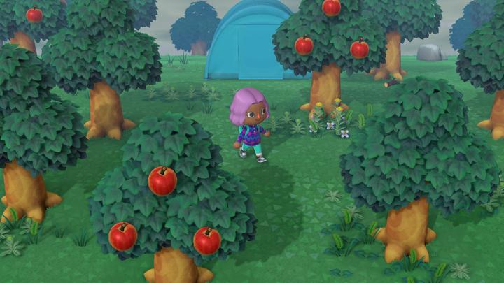 Image du produit Nintendo Animal Crossing: New Horizons (Switch, FR)