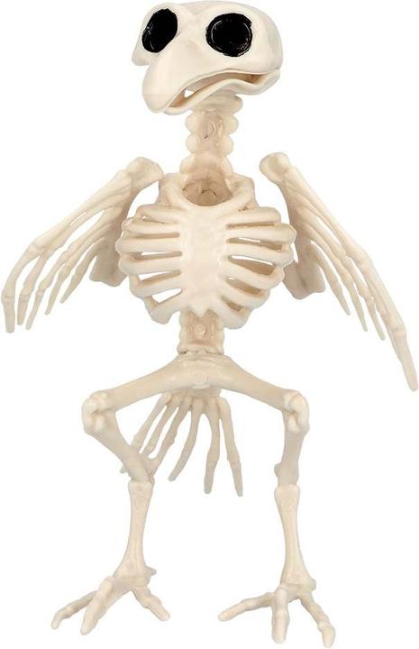 Produktbild Boland Vogelskelett: Flori