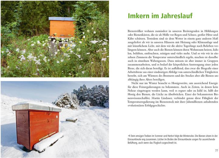 Produktbild Imkern mit der Einraumbeute (Deutsch, Norbert Poeplau, Dr. Johannes Wirz, Johannes Wirz, 2020)