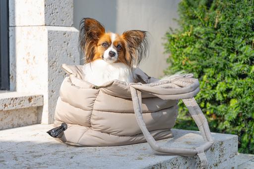 Actual product image Designed by Lotte Tico (Dog, Foldable, Washable)