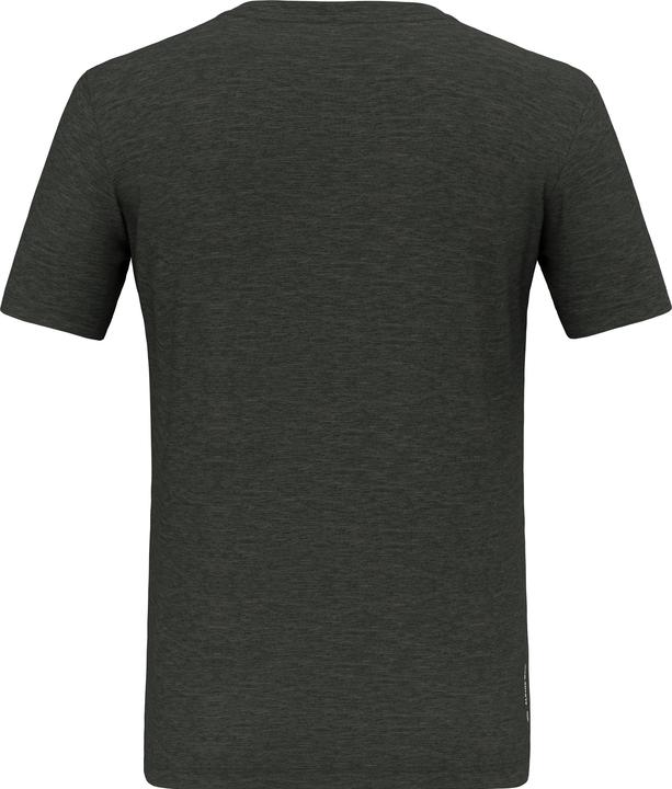 Actual product image Salewa Eagle Eitd Merino T-Shirt (L)