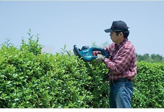 Image du produit Makita UH6580 (Taille-haie électrique)