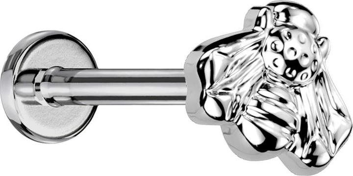 Actual product image Star Piercing Micro labret internal thread silver bee silver (Titanium G23, without brass)