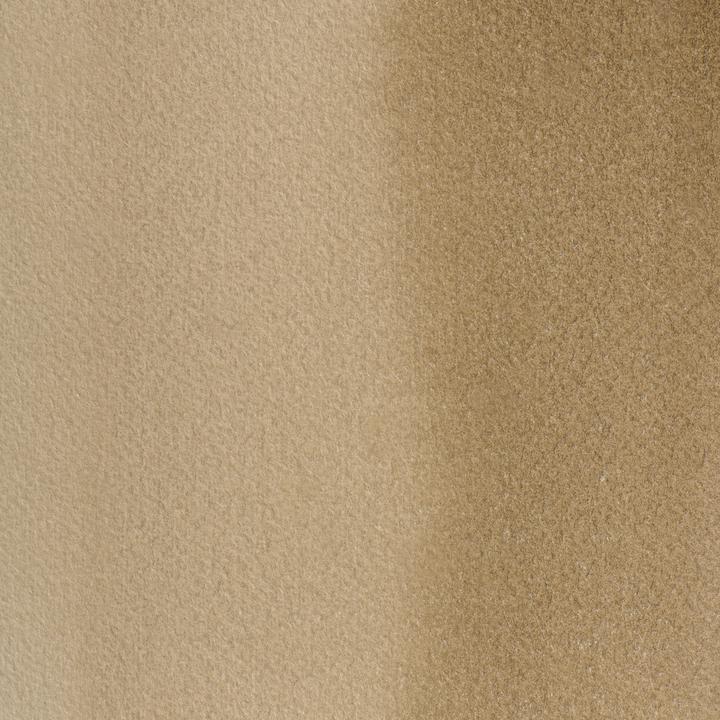 Van Dijk Brown
