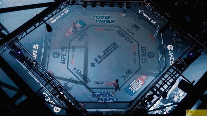 Image du produit EA Games UFC 5 (PS5, EN)