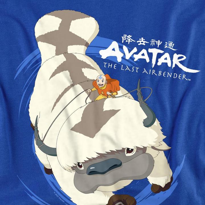 Produktbild Avatar: The Last Airbender In Flight Sweatshirt (S)
