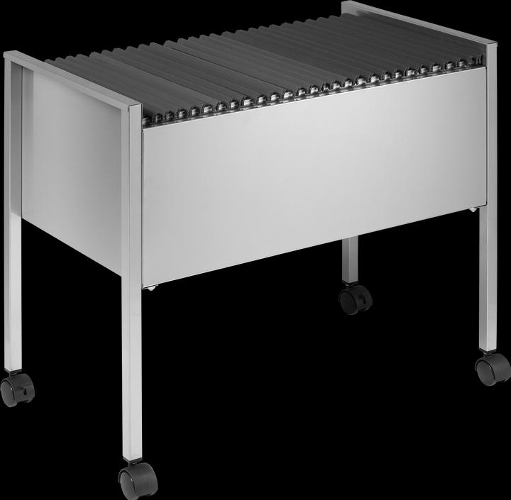 Immagine prodotto Durable Economia di Folderboy (A4)