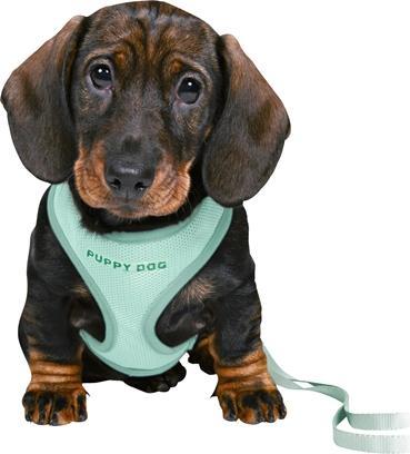 Produktbild Trixie Junior Welpen-Softgeschirr mit Leine (Hund, Hundesport)