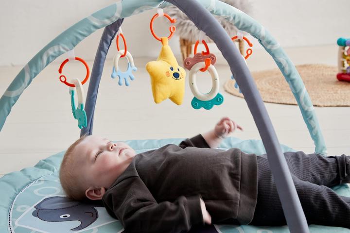 Produktbild Scandinavian Baby Products Zoo Activity Gym