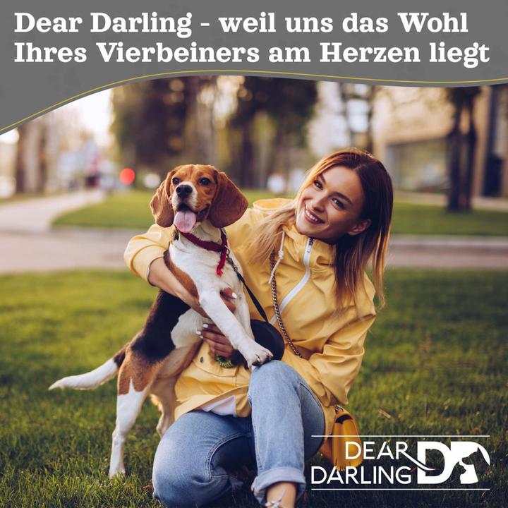 Produktbild trends4cents DD-05GRS Gr. S (Hund, Katze)