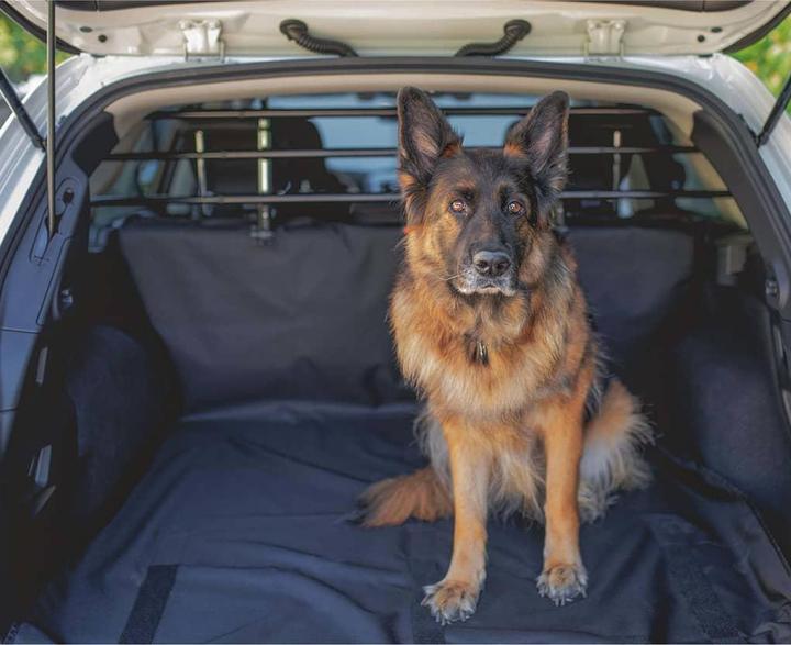 Produktbild Ferplast Analia (Hund, Faltbar)