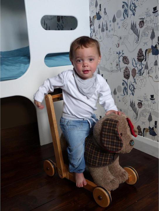 Image du produit little bird told me Percy Pup Push Along