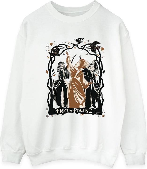 Disney Hocus Pocus Birds Sweatshirt (XL)