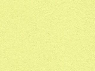 Sweet lime