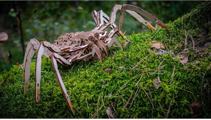 Actual product image Eco Wood Art spider