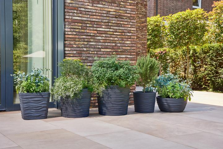 Image du produit Siena Garden Madrid (45 cm)
