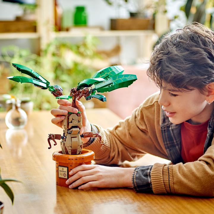 Produktbild LEGO Zaubertrankpflanze: Alraune (76433, LEGO Harry Potter)