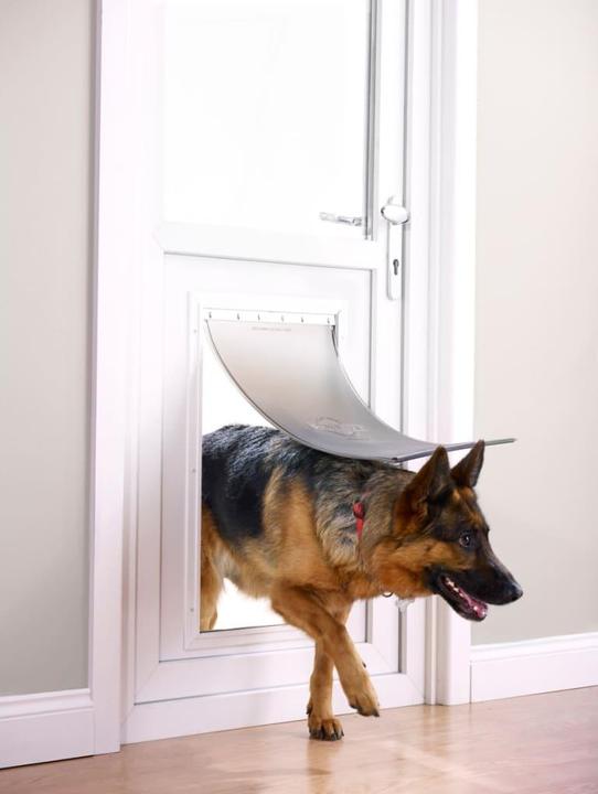 Produktbild PetSafe Haustierklappe Staywell® Haustiertüre (Manuelle Katzenklappe)