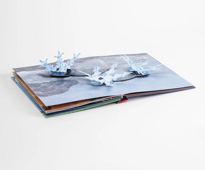 Produktbild Das Wetter. Pop-up-Buch (Deutsch, Maike Biederstädt, 2021)