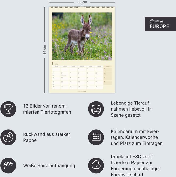 Produktbild Esel Kalender 2026 (30 x 39 cm, Deutsch)