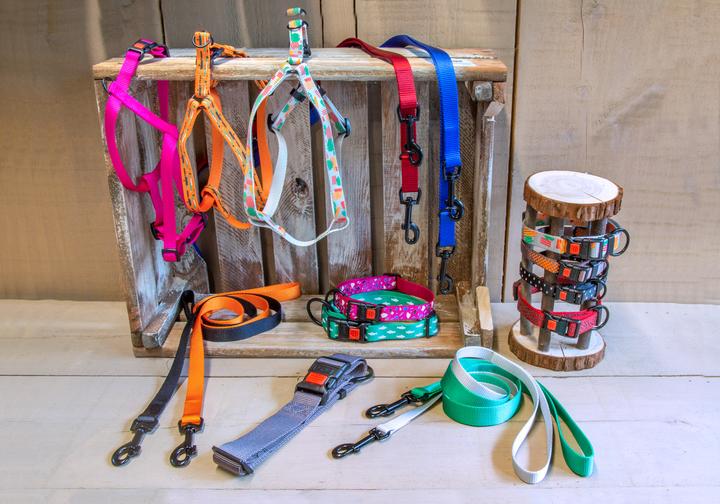 Productafbeelding Karlie Art Sportiv Plus Servies 1-2-3 Step and Go nieuwe universele kleuren Mix and Match (M, Hond, Loop)