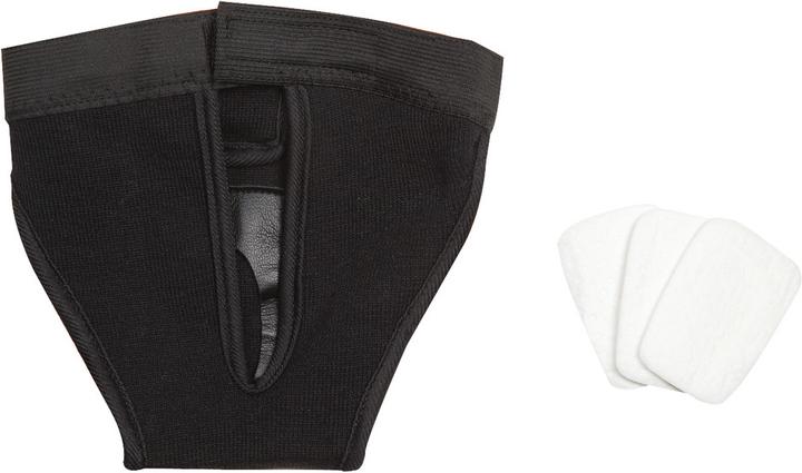 Image du produit Karlie Culottes pour chiens (M, Combinaison pour chien)