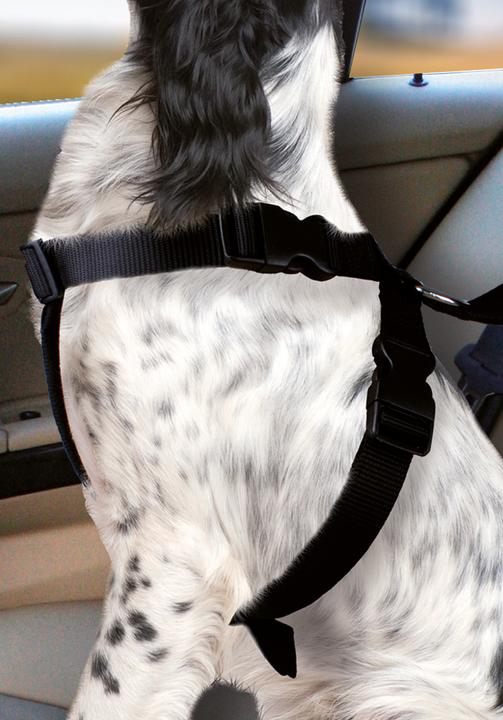Produktbild Karlie Auto-Hundegeschirr (Hund, Faltbar, Abschliessbar)