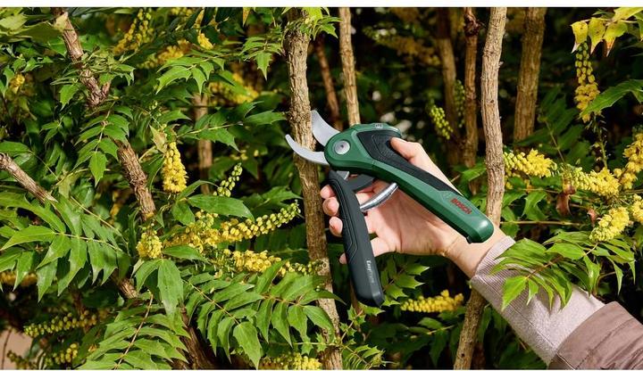 Produktbild Bosch Home & Garden EasyPrune
