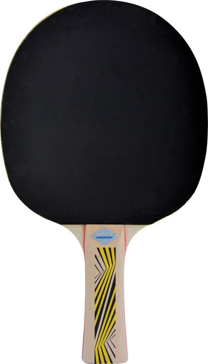 Produktbild Donic Schildkröt Tischtennisschläger Legends 500