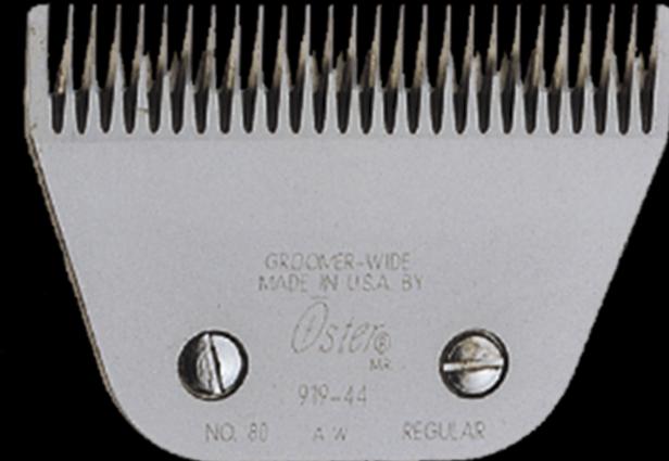 Image du produit Oster Tête de tondeuse pour chiens Machine à moteur (Chien)