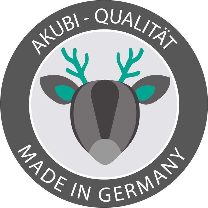 Image du produit Karibu Maison sur pilotis Benjamin avec toboggan