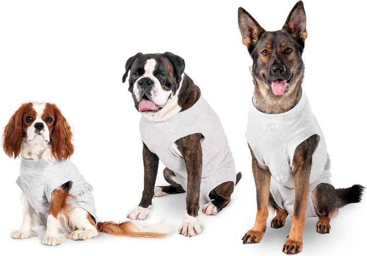 Produktbild Karlie Safety Body für Hunde, grau (Hundeoverall)